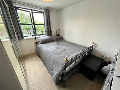 Picture 7